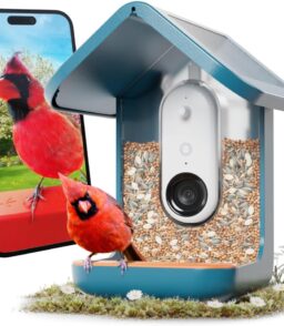 Birdbuddy PRO Solar Smart Bird Feeder With Camera. 5MP Photos. 2K HD Video. Blue - PRO