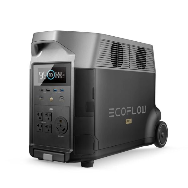 169aaef2-7eec-5330-b4c7-ce056b1f3ec1.jpg