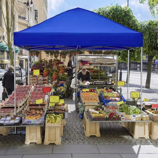 1ea6fd84-d9d0-5ec8-a07e-994b4ddb060a.jpg