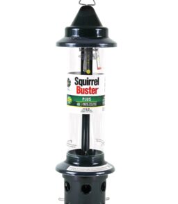 Brome Squirrel Buster Plus Tube Bird Feeder. 23 in. 3 Qt. 2 Pack - Cardinal Perch Ring