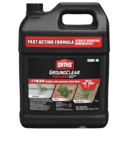 Ortho GroundClear Year Long Vegetation Killer Concentrate