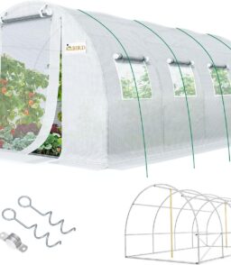 KING BIRD Walk-In Greenhouse 20x10x6.6FT White