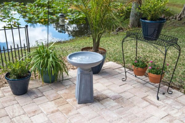 5d192222-f75e-522e-a393-0a6aee9302a4.jpg