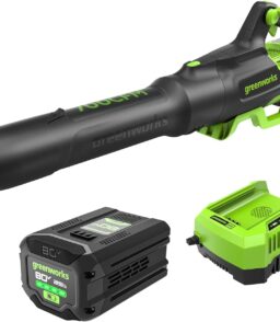 Greenworks 80V Brushless Cordless Leaf Blower. 700 CFM / 170 MPH. 2.5Ah Battery And 40-Min Rapid Charger