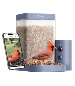 Birdfy Smart Bird Feeder With Camera. 1080P HD Video. 60FPS - Rookie