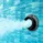 73958E2F-F656-9412-4794-983D35CE5A2F.webp