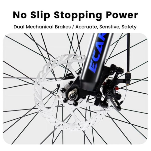8772c3dd-9085-578d-a630-52fc69386b89.jpg