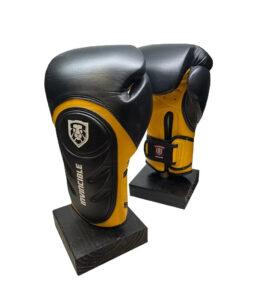 Invincible Fight Gear Leather Training Boxing Gloves - 12oz. 14oz - v2.0