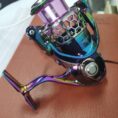 f1576384-5f33-533a-9db1-3b5c9ad00824.jpg